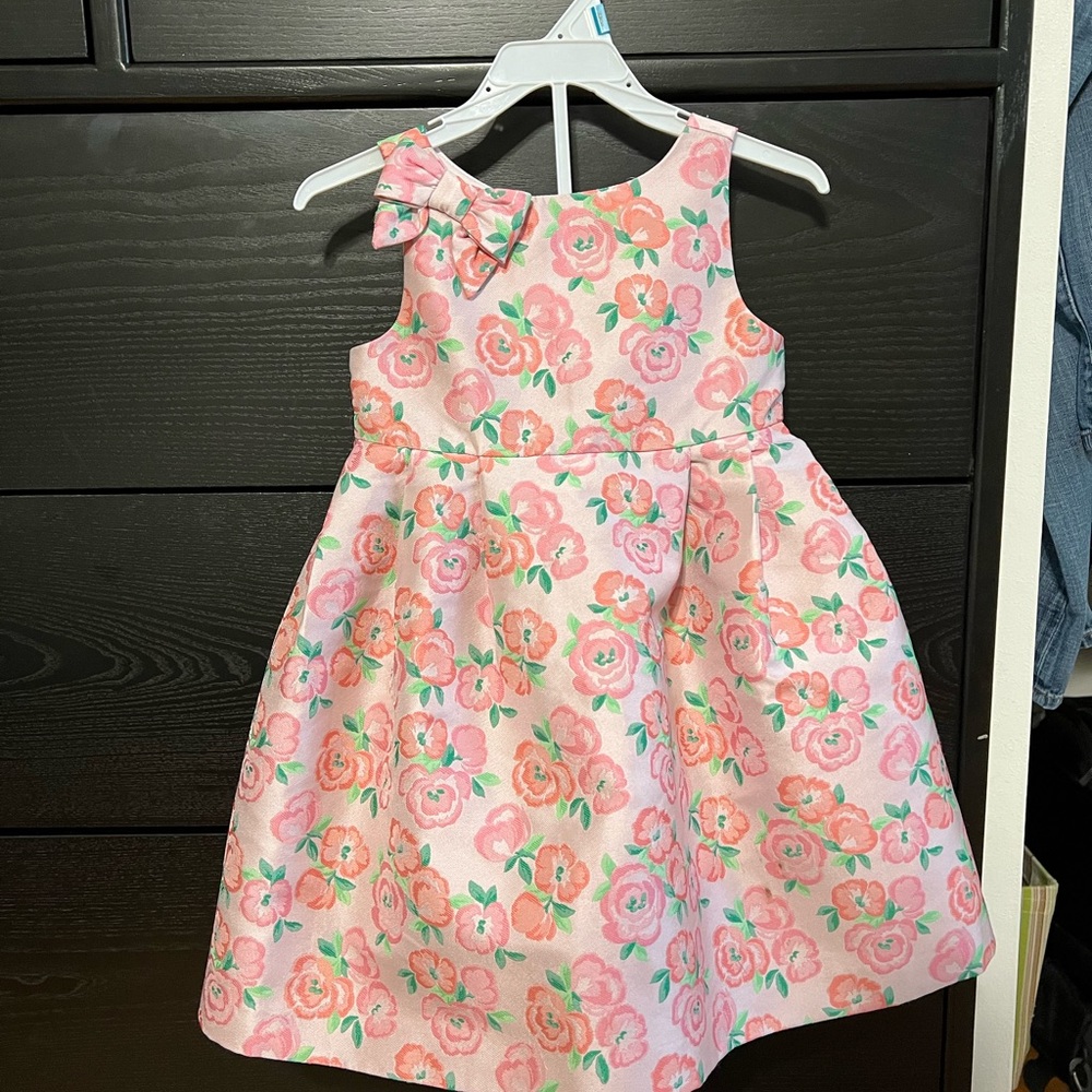 Beautiful Janie and Jack pink rose dress 18-24mo
